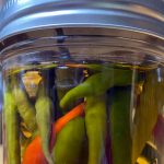Relish a good pickle? Ancient preservation methods still work