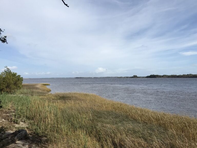 Brunswick Town/Fort Anderson State Historic Site in Winnabow has received a $2.5 million grant from the National Oceanic and Atmospheric Administration, or NOAA. Photo, courtesy of the N.C. Department of Natural and Cultural Resources