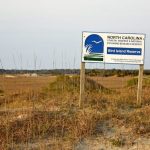 Weekly nature walks to highlight Bird Island history, wildlife