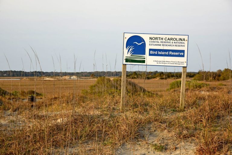 Bird Island Reserve in Sunset Beach is one of 10 North Carolina Coastal Reserve sites. Photo: N.C. Sea Grant/N.C. Coastal Reserve