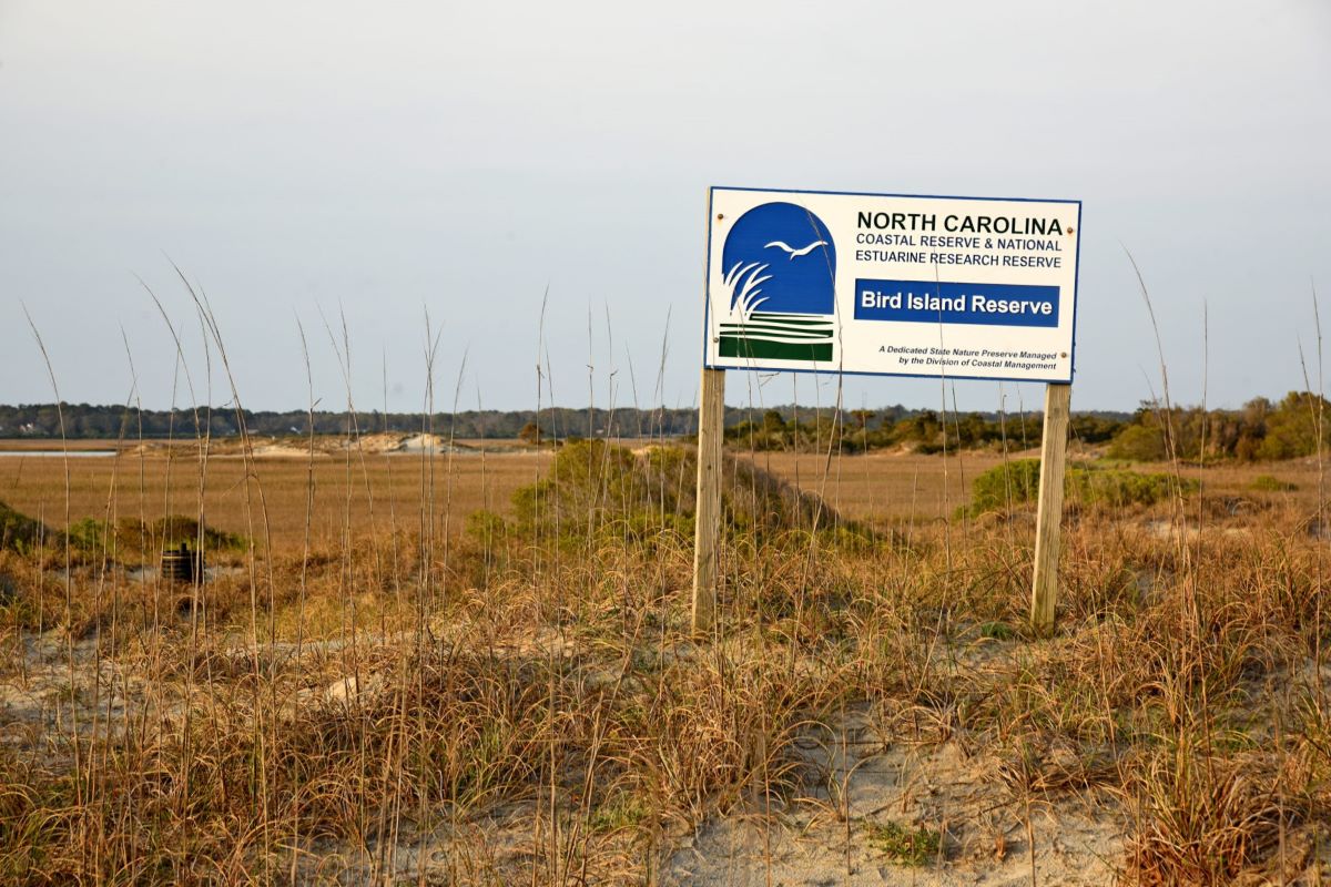 Bird Island Reserve in Sunset Beach is one of 10 North Carolina Coastal Reserve sites. Photo: N.C. Sea Grant/N.C. Coastal Reserve