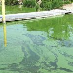 State officials remind public to avoid discolored waters
