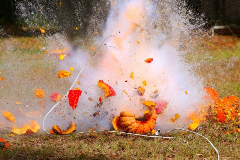 The Great Pumpkin Blowout Nov. 1 at Brunswick Town and Fort Anderson State Historic Site in Winnabow raises funds for the site’s educational programming. Photo: N.C. Department of Natural and Cultural Resources