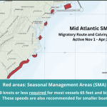 NOAA urges boaters to slow down in seasonal whale areas