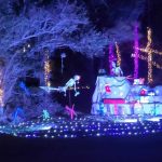 Annual Christmas Light Festival returns to Frisco on December 1