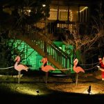 Avon introduces new community lights contest