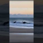 All A Surfer Wants For Christmas… Waves so good you lose mental/verbal control 😂