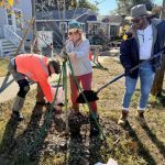 Native tree giveaway in Wilmington to be largest yet
