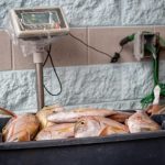 Recreational, commercial harvest reporting now in effect